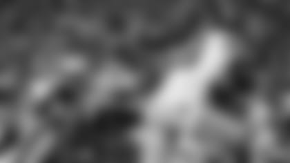 nicks_a220x100_083013.jpg