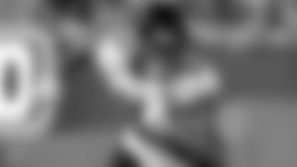 WR C.J. Board

(Logan Bowles via AP)