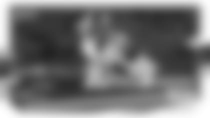 DONRUSS_PANINI_GRAPHIC_BRADBERRY