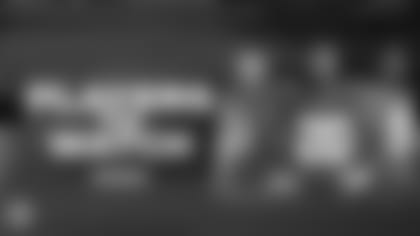 PANINI_1920x1080WK15