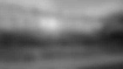 AP Photo/Julio Cortez, File