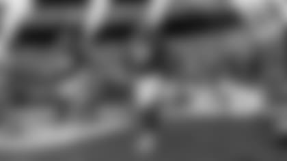 DEXTER-LAWRENCE-LEONARD-WILLIAMS-ENTRANCE-TUNNEL