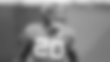 Jacksonville Jaguars during a training camp practice session Tuesday, July 31, 2018 at the Dream Finders Homes Practice Complex in Jacksonville, Fl. (Rick Wilson/Jacksonville Jaguars)