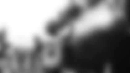 Jacksonville Jaguars running back Leonard Fournette (27) high-fives fans after an NFL football AFC divisional playoff game against the Pittsburgh Steelers, Sunday, Jan. 14, 2018, in Pittsburgh. The Jaguars defeated the Steelers, 45-42. (Ryan Kang via AP)