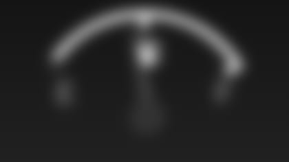 8729.jpg