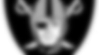 rai-mark-1-rgb.jpg