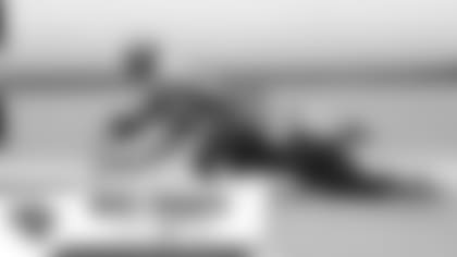 QuickThoughts_Ravens