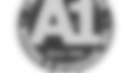 a1-viking_logo.jpg