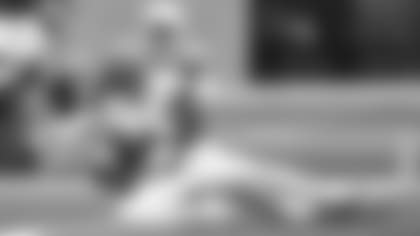 E_SZ1_2781-perriman-story