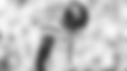 E_SS1_1891-gardner-thumb