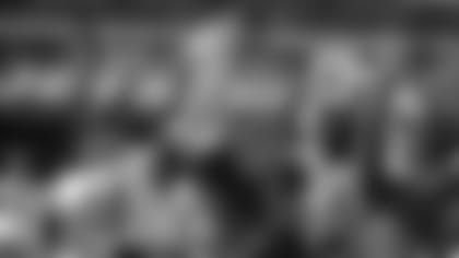BR4T0702-guide-fans-4.jpg