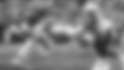 E_SNY30084-defense-thumb