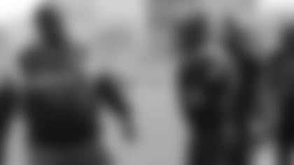22626782446_7ad00969f5_h-article.jpg