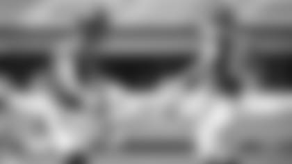 SZ2_0484-ammendola-thumb
