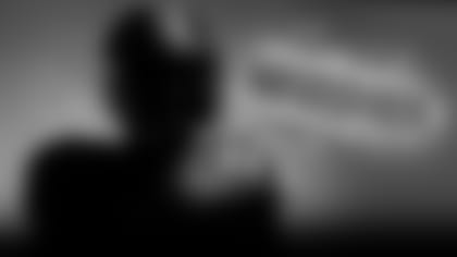 TNF_Tease_CP2.jpg