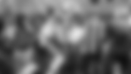 E_MKII5111-browns-roundup-thumb