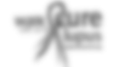 walkforlupus-storyimage42516.jpg