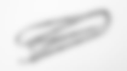 The Pride Unleashed - leash