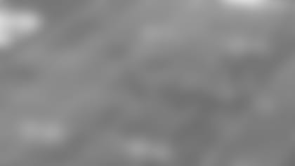 2-fake-ins-101016.jpg