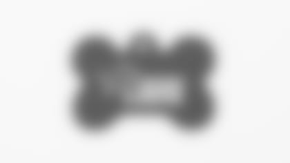 The Pride Unleashed - aluminum dog tag