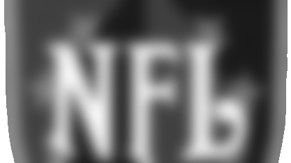 nfleurope_logo.gif