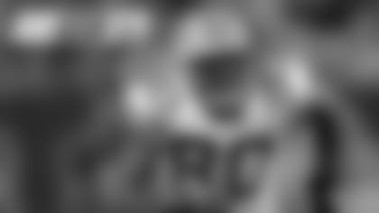 Packers Hall of Fame WR Donald Driver