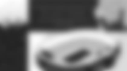 201103_Packers_Lambeau-07