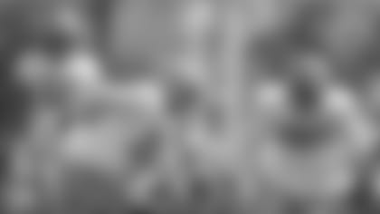 Tight ends Robert Tonyan, Marcedes Lewis, Jimmy Graham