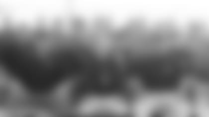 081002cow_other.jpg