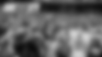 Fans at Lambeau Field