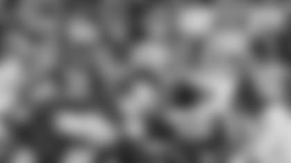 Packers defensive unit