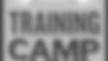 160617-training-camp-logo.jpg