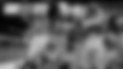 Packers offense celebrates after TE Robert Tonyan's touchdown