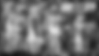 Packers defensive unit