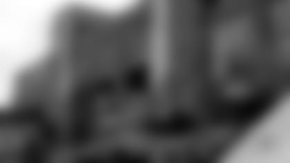 210420-planting-for-purpose-release-2560