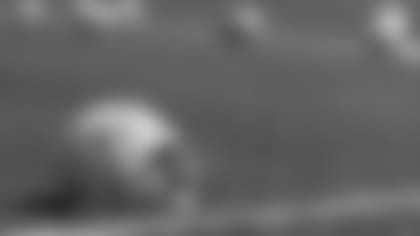 Green Bay Packers
Packers
Training Camp
Practice
August 15, 2017