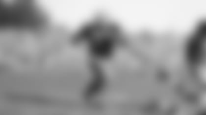 181217-Dave-Hanner-action