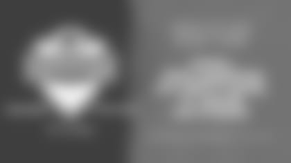 Packers Kickoff Weekend Show