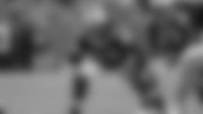 190115-bakhtiari-david-2560