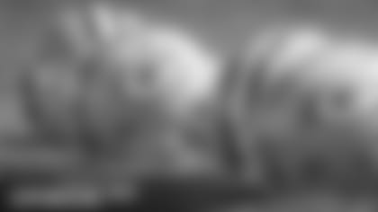 ask-vic-logo-600.jpg