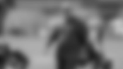 180814-pettine-story-2560