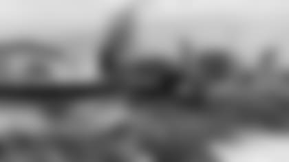 First Down for Trees