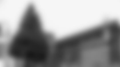 181119-festival-of-lights-tree-2560