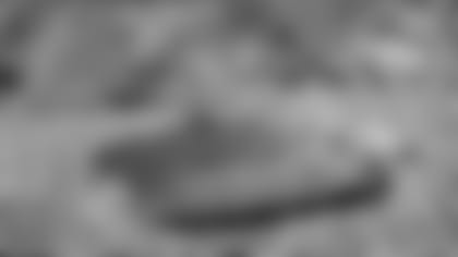 170216-lambeau-revised-950.jpg