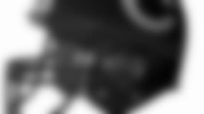 bears_lf_150.jpg