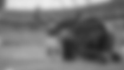 Sir Purr Keep Pounding