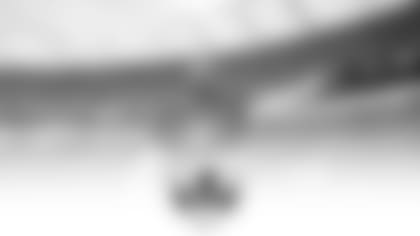 fan_fest_promo_thumb2