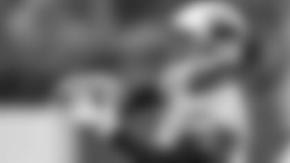 170726_shep_inside.jpg