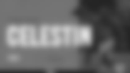 jonathan celestinLandscape