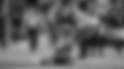 Terrace Marshall Jr.